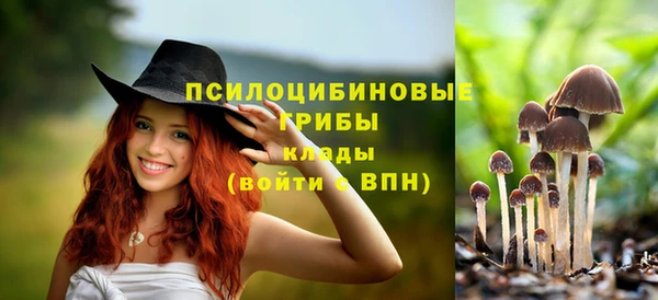 спиды Новокубанск