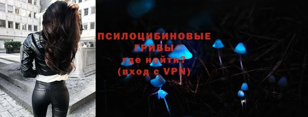 спиды Новокубанск