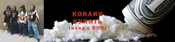 PSILOCYBIN Новозыбков