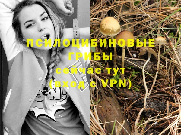 марки nbome Новодвинск